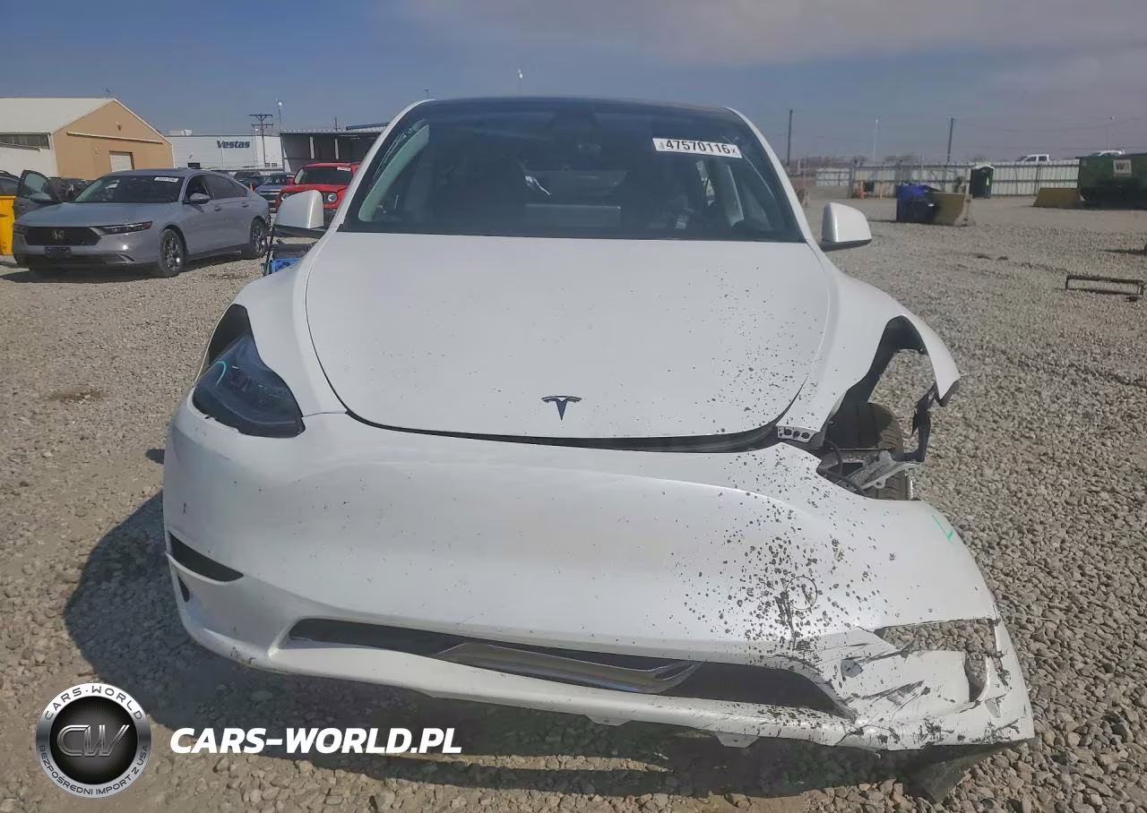 2023 Tesla Y VIN:7SAYGDEE6PA032456 - 5