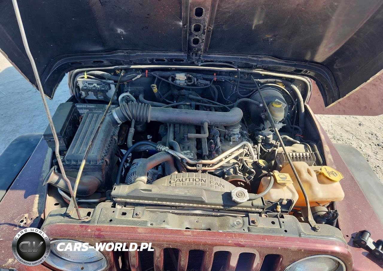 2004 Jeep Wrangler X VIN:1J4FA39S14P702851 - 11