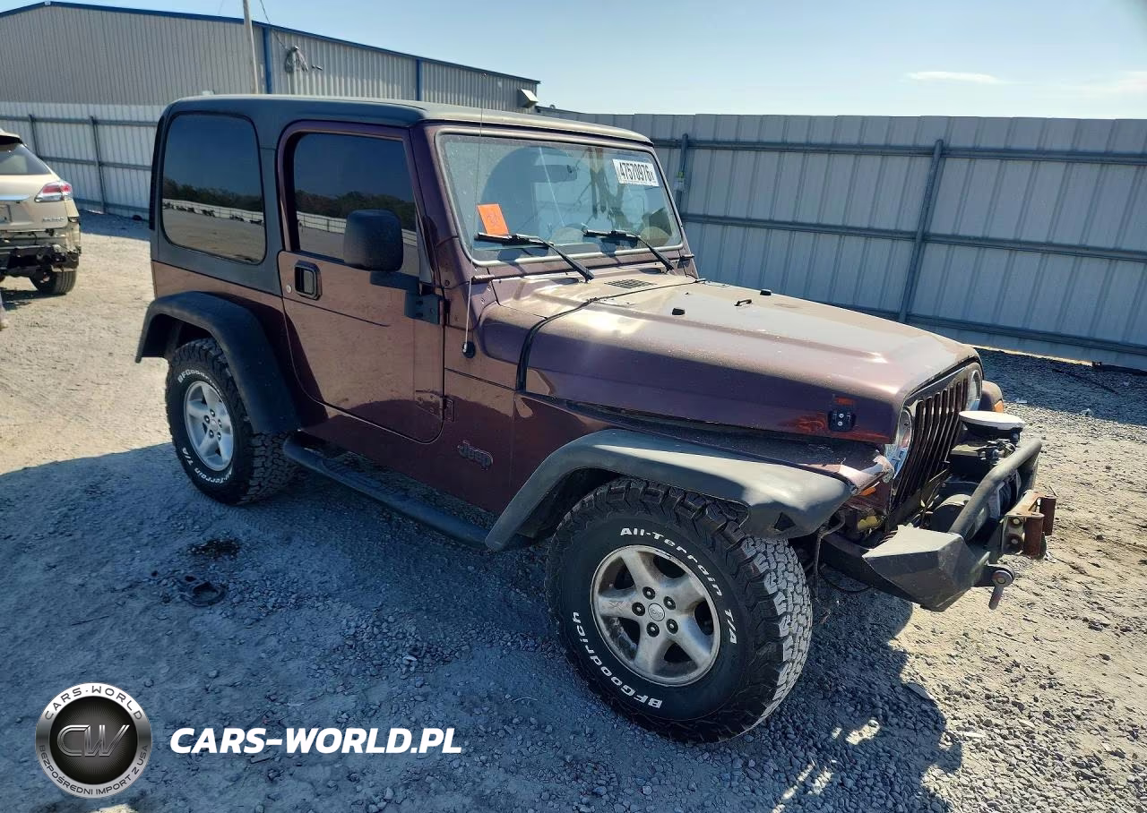 2004 Jeep Wrangler X VIN:1J4FA39S14P702851 - 4