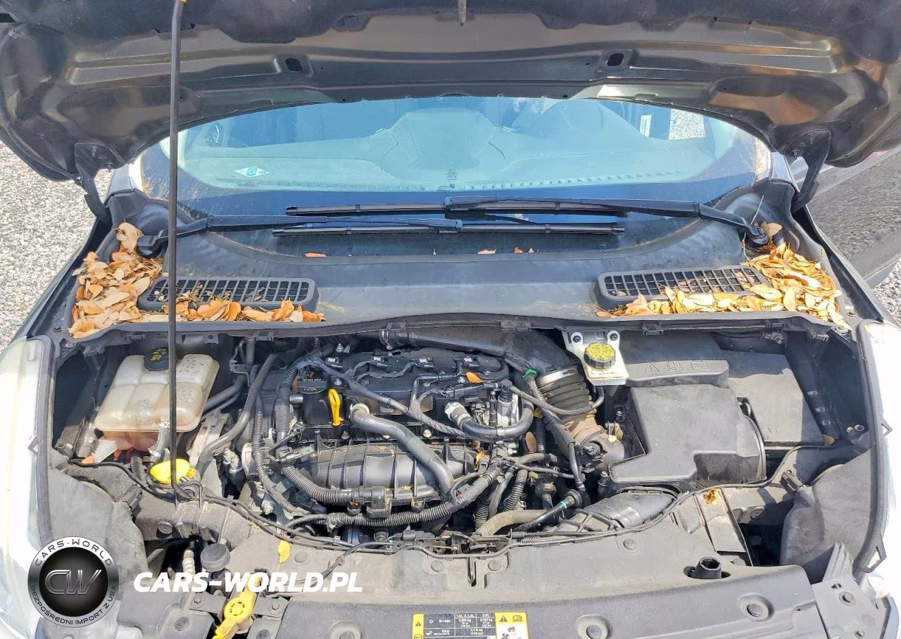 2016 Ford Escape Se VIN:1FMCU0GX0GUB89607 - 12