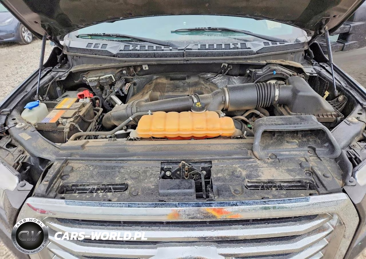 2017 Ford F150 Supercrew VIN:1FTEW1EGXHFB55390 - 11
