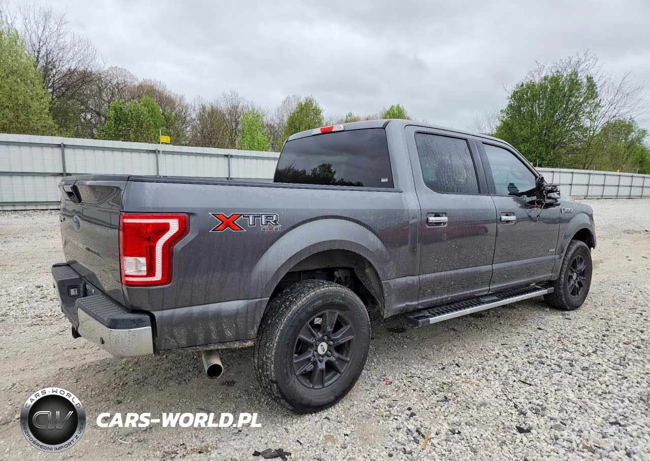 2017 Ford F150 Supercrew VIN:1FTEW1EGXHFB55390 - 3