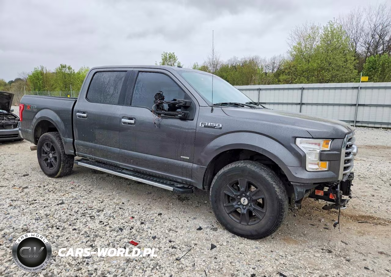 2017 Ford F150 Supercrew VIN:1FTEW1EGXHFB55390 - 4