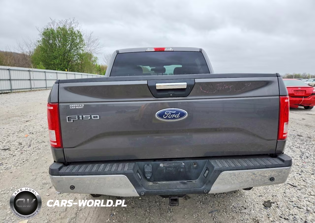 2017 Ford F150 Supercrew VIN:1FTEW1EGXHFB55390 - 6