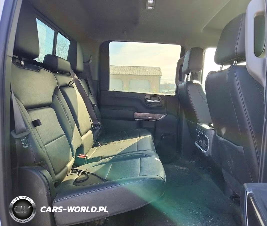 2020 Chevrolet Silverado K2500 Heavy Duty Ltz VIN:1GC4YPEY5LF124039 - 10