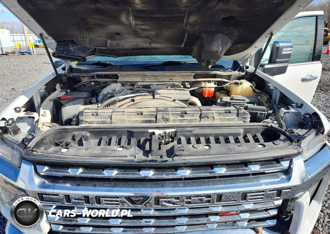 2020 Chevrolet Silverado K2500 Heavy Duty Ltz VIN:1GC4YPEY5LF124039 - 11