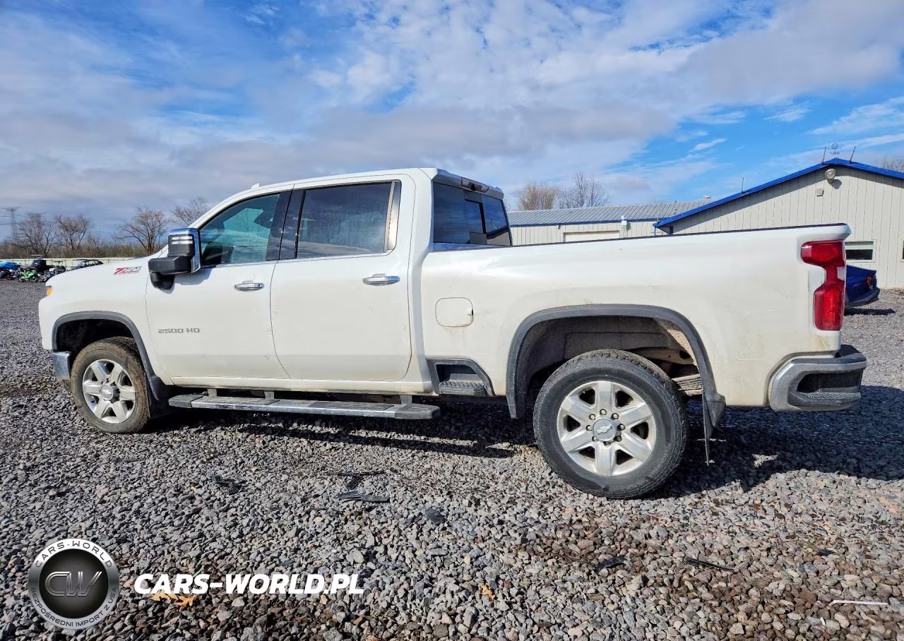 2020 Chevrolet Silverado K2500 Heavy Duty Ltz VIN:1GC4YPEY5LF124039 - 2
