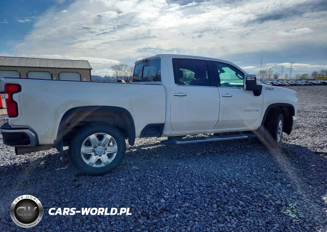 2020 Chevrolet Silverado K2500 Heavy Duty Ltz VIN:1GC4YPEY5LF124039 - 3