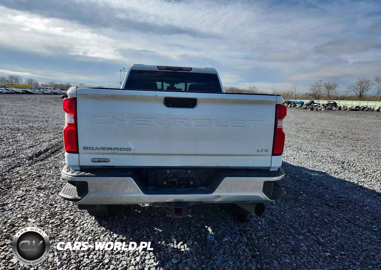 2020 Chevrolet Silverado K2500 Heavy Duty Ltz VIN:1GC4YPEY5LF124039 - 6