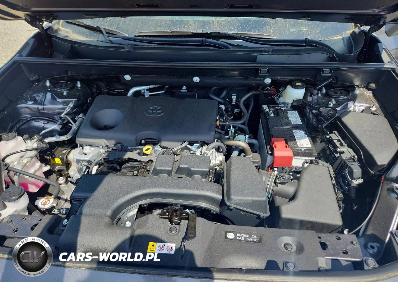 2025 Toyota Rav4 Xle VIN:2T3W1RFV7SC355312 - 11