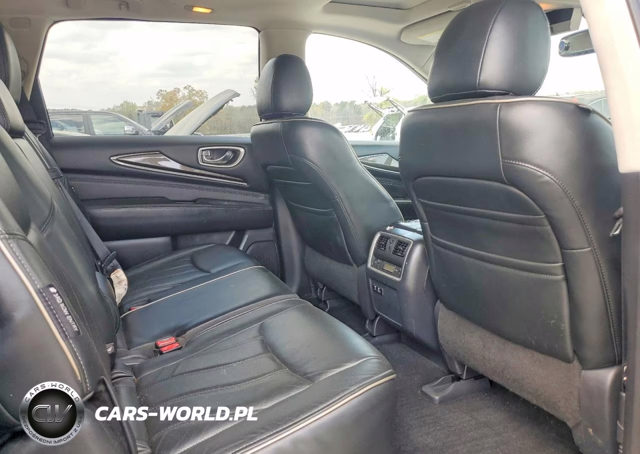 2020 Infiniti Qx60 VIN:5N1DL0MN1LC504599 - 11