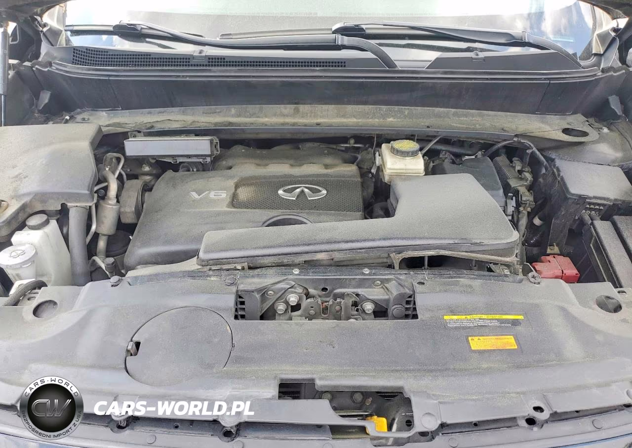 2020 Infiniti Qx60 VIN:5N1DL0MN1LC504599 - 12