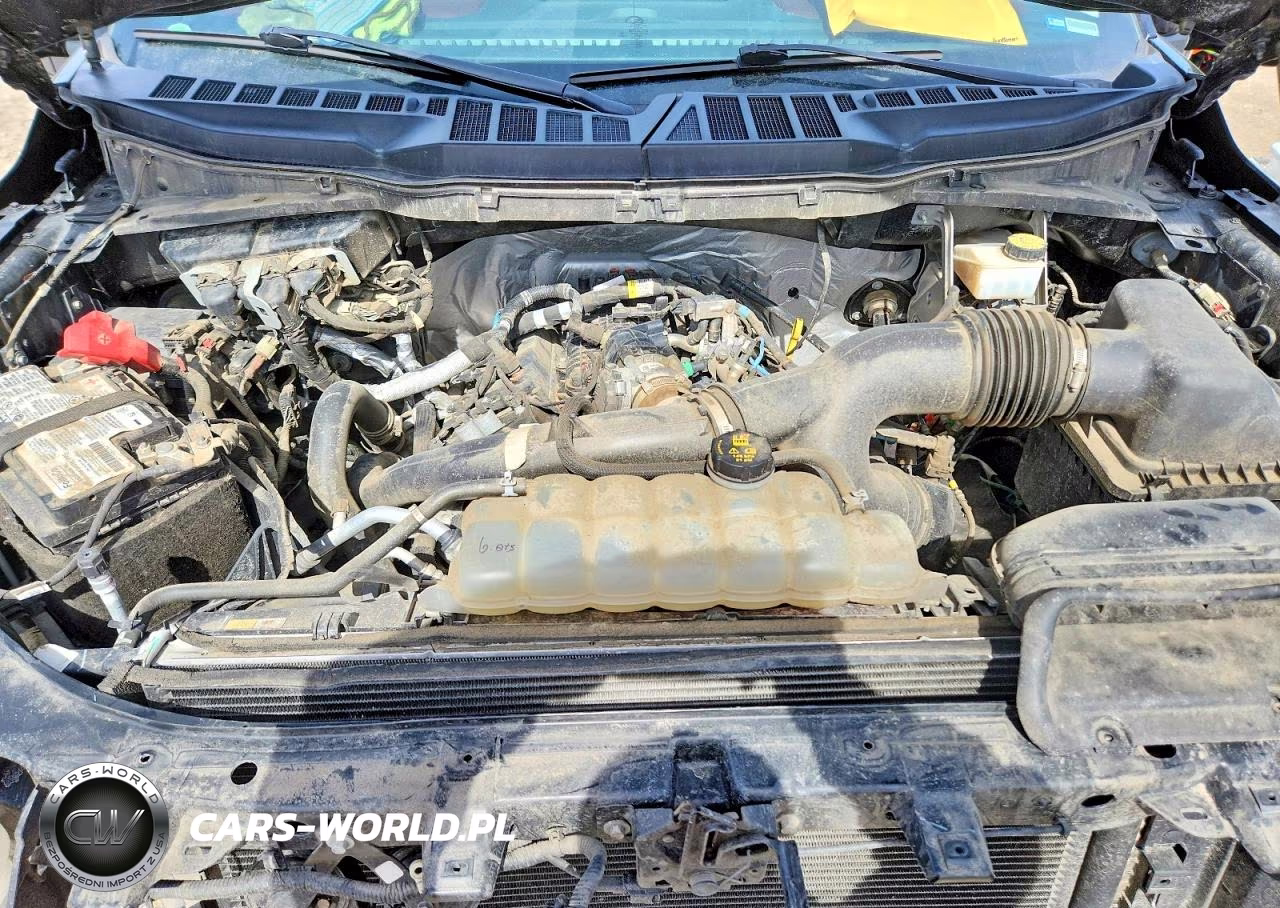 2021 Ford F150 Supercrew VIN:1FTEW1EPXMFB57490 - 11