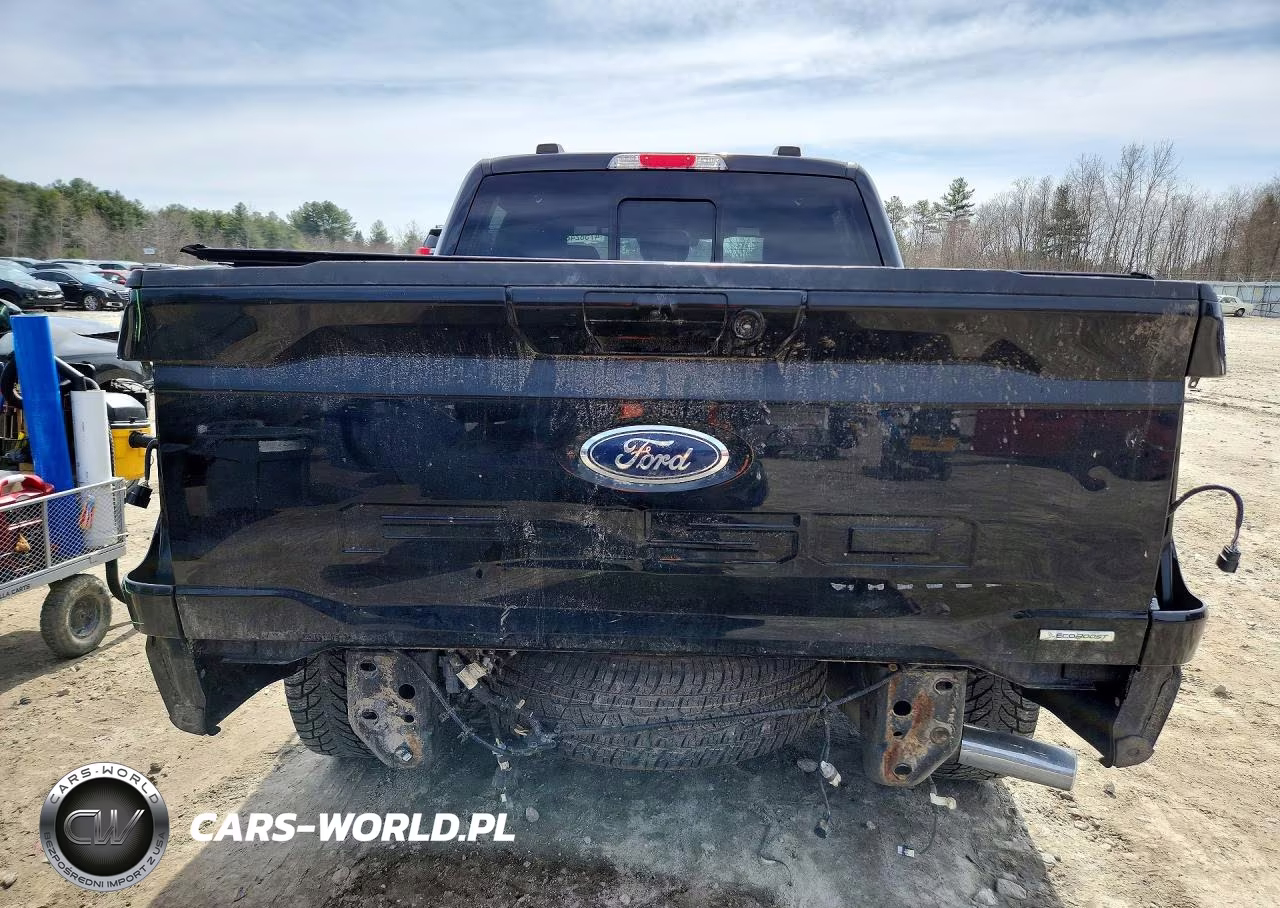 2021 Ford F150 Supercrew VIN:1FTEW1EPXMFB57490 - 6
