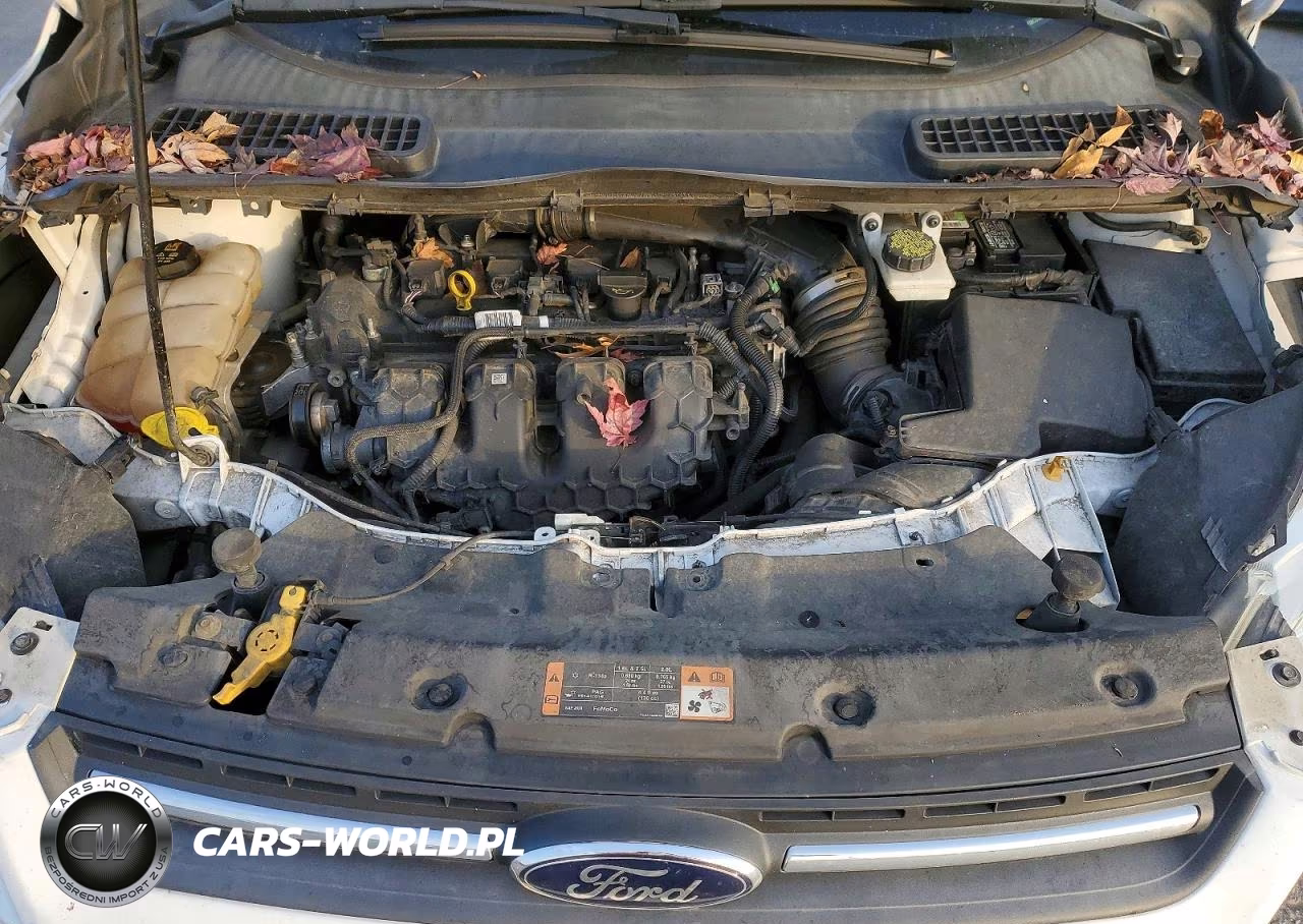 2015 Ford Escape Se VIN:1FMCU9G97FUB32695 - 12