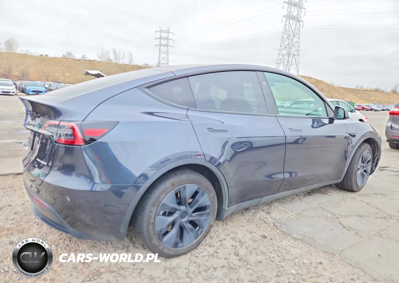 2025 Tesla Model Y VIN:7SAYGAEE1SF287753 - 3