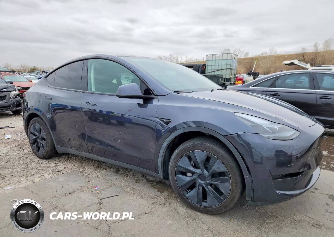 2025 Tesla Model Y VIN:7SAYGAEE1SF287753 - 4