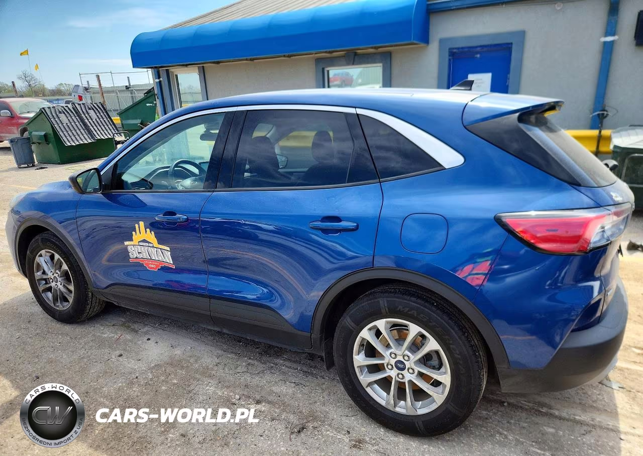 2022 Ford Escape VIN:1FMCU0G67NUB15508 - 2