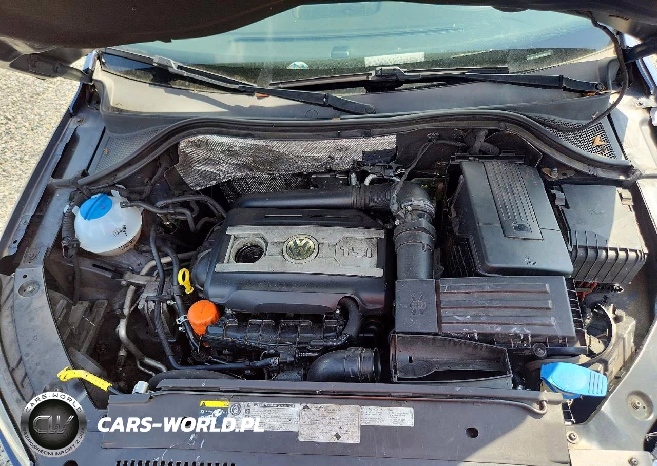 2016 Volkswagen Tiguan S VIN:WVGAV7AX5GW510891 - 12