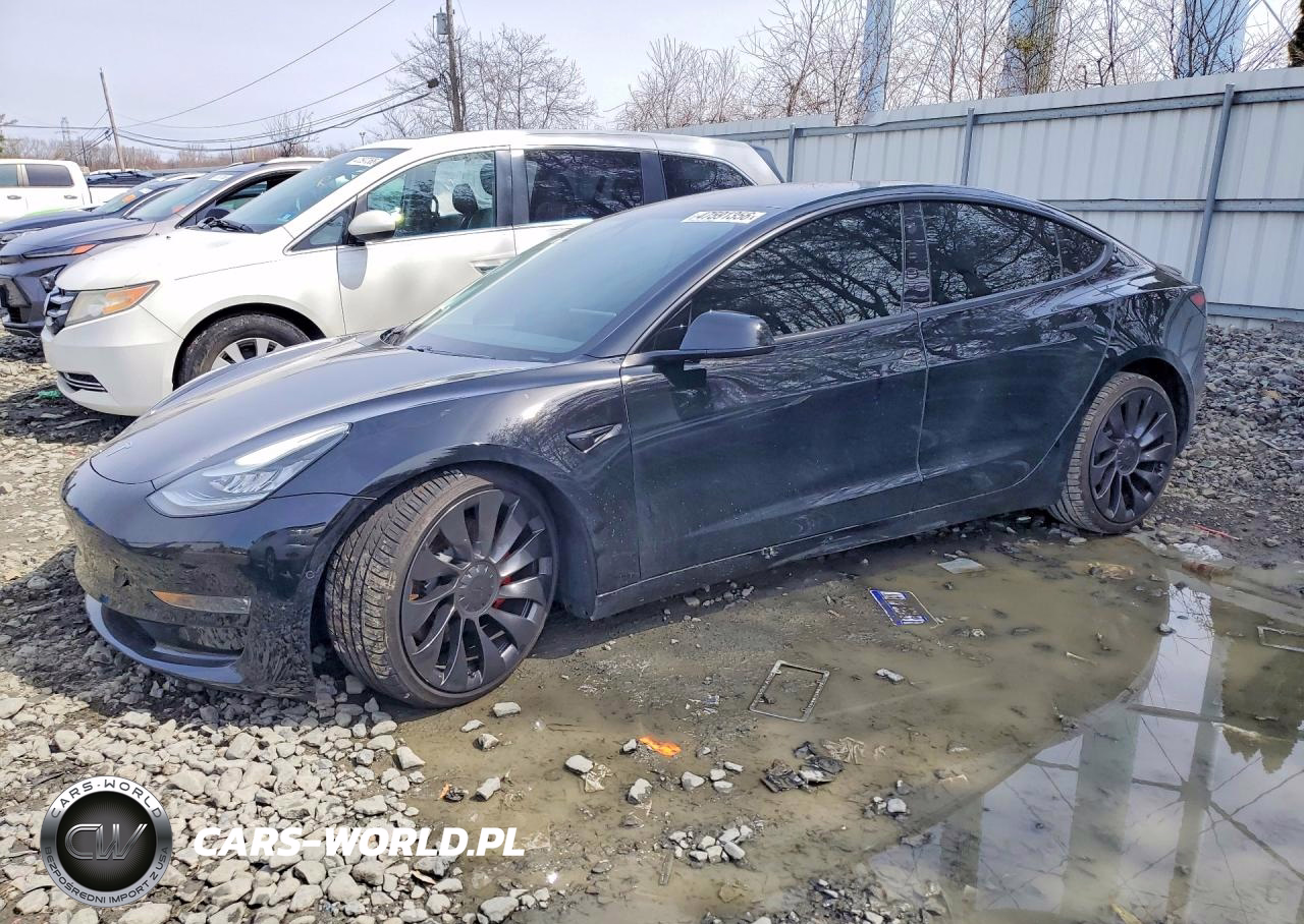 2019 Tesla Model 3