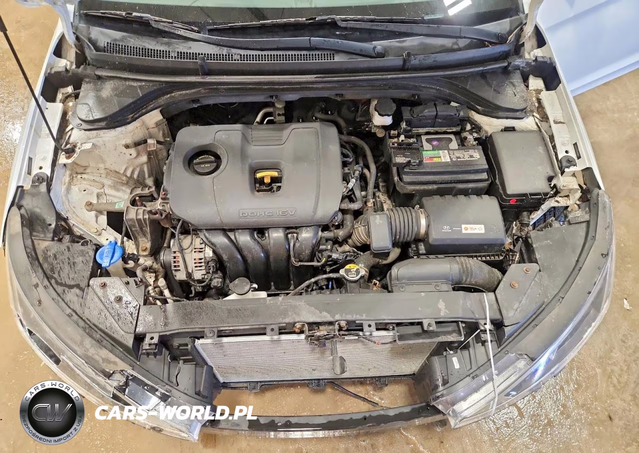 2019 Hyundai Elantra Se VIN:5NPD74LF2KH480455 - 11