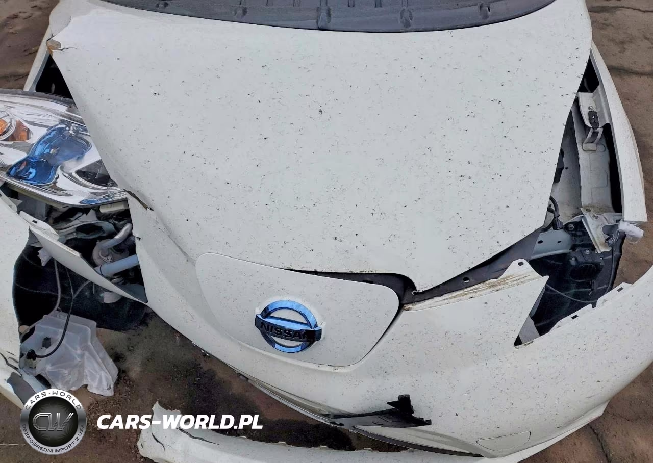 2017 Nissan Leaf Sl VIN:1N4BZ0CP0HC311998 - 11