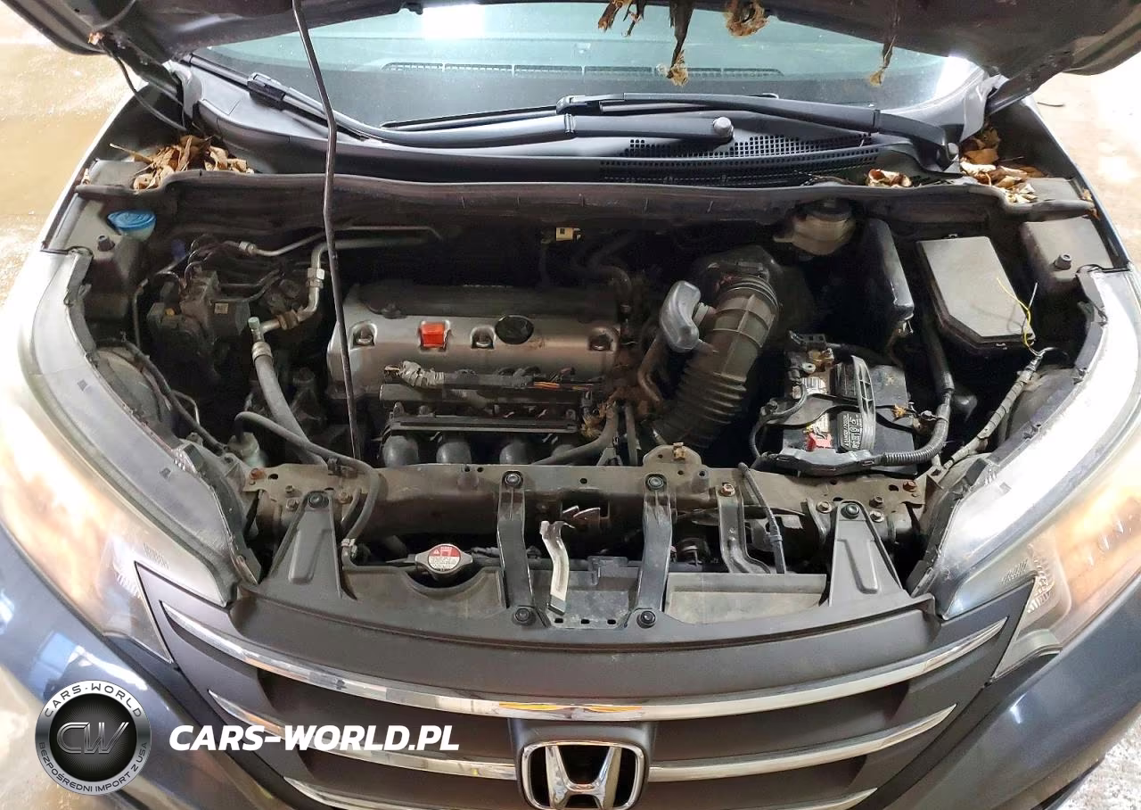 2014 Honda Cr-V Ex VIN:5J6RM4H54EL049446 - 11