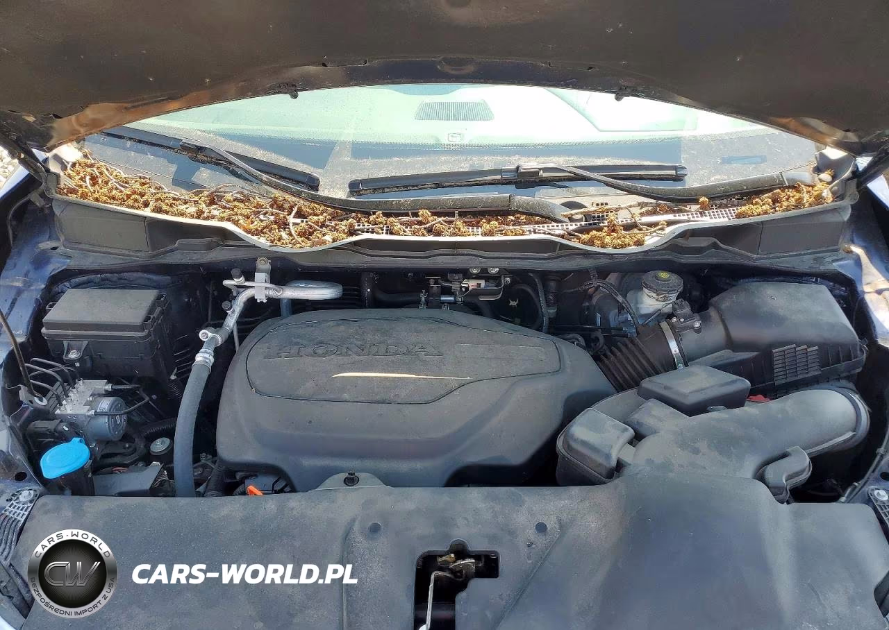 2024 Honda Odyssey Touring VIN:5FNRL6H88RB026713 - 12