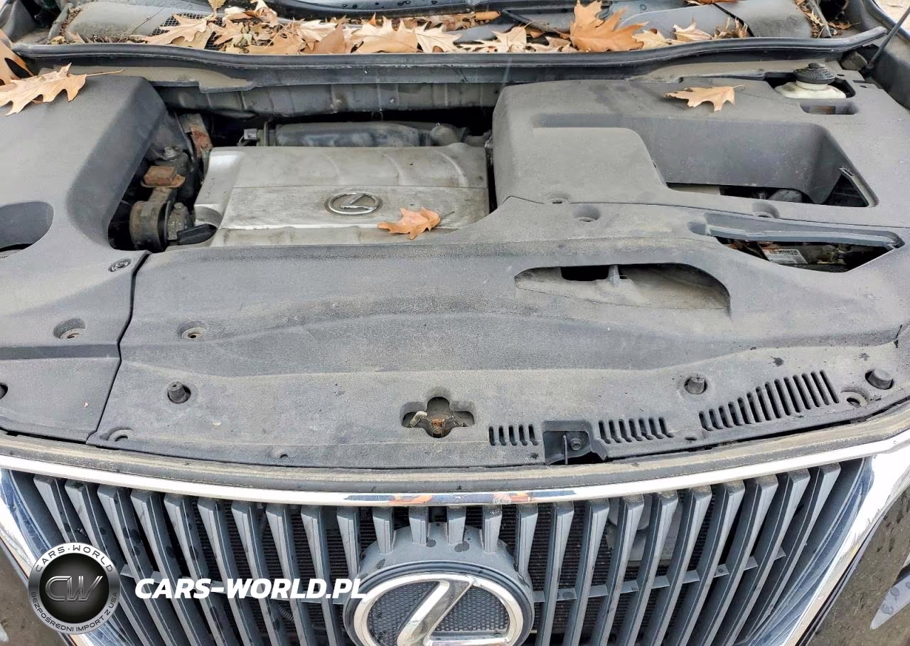 2010 Lexus Rx 350 Base VIN:2T2BK1BAXAC017583 - 12
