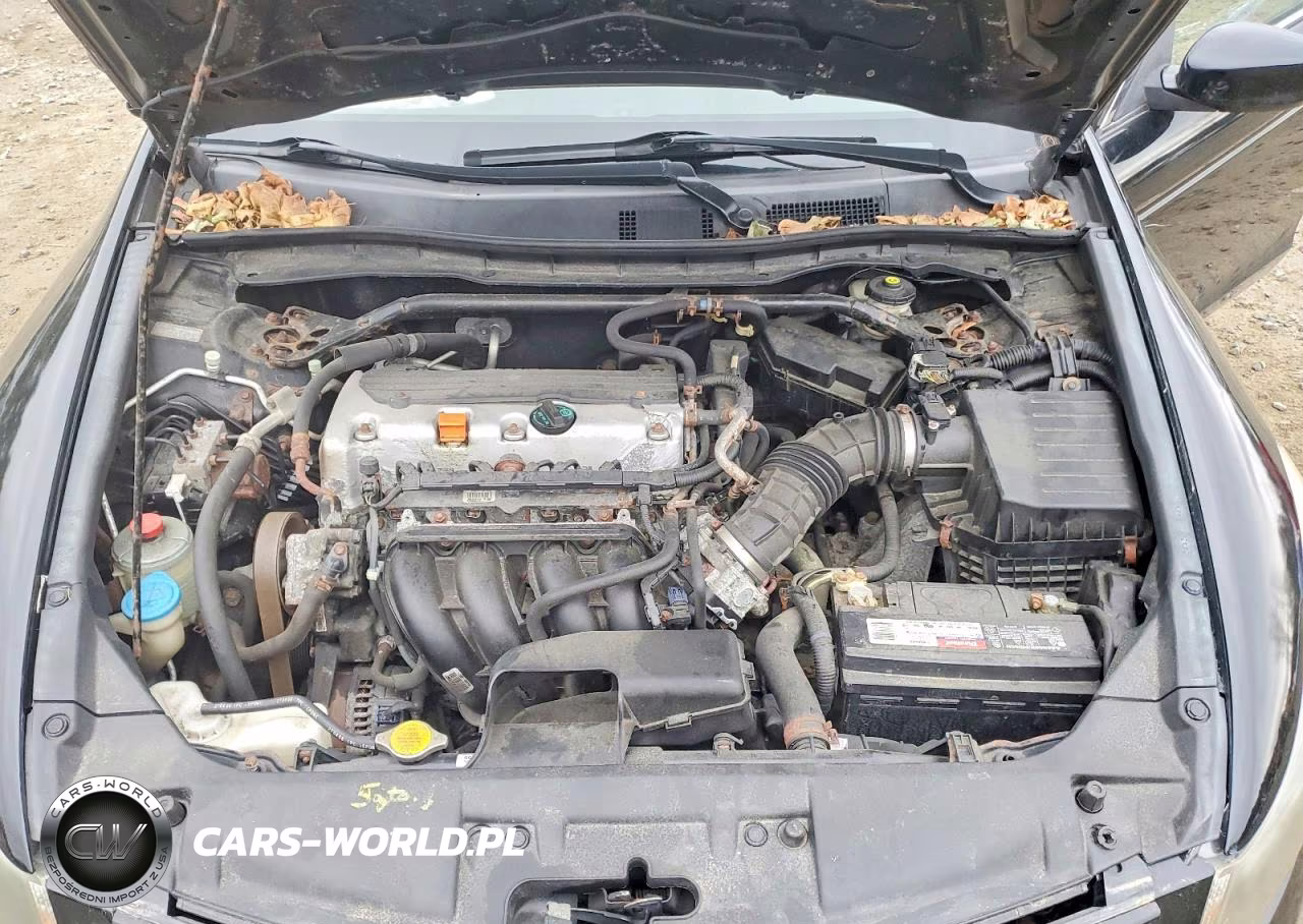 2010 Honda Accord Exl VIN:1HGCP2F87AA020566 - 11