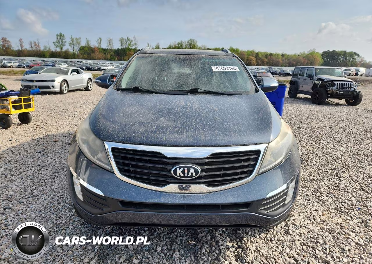2013 Kia Sportage Ex VIN:KNDPC3A25D7420406 - 5