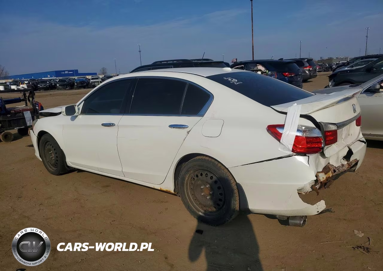 2013 Honda Accord Exl VIN:1HGCR3F83DA802013 - 2