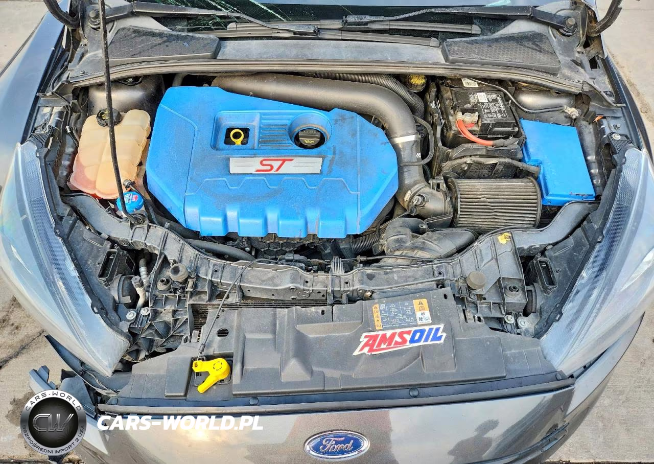 2018 Ford Focus St VIN:1FADP3L93JL282729 - 11