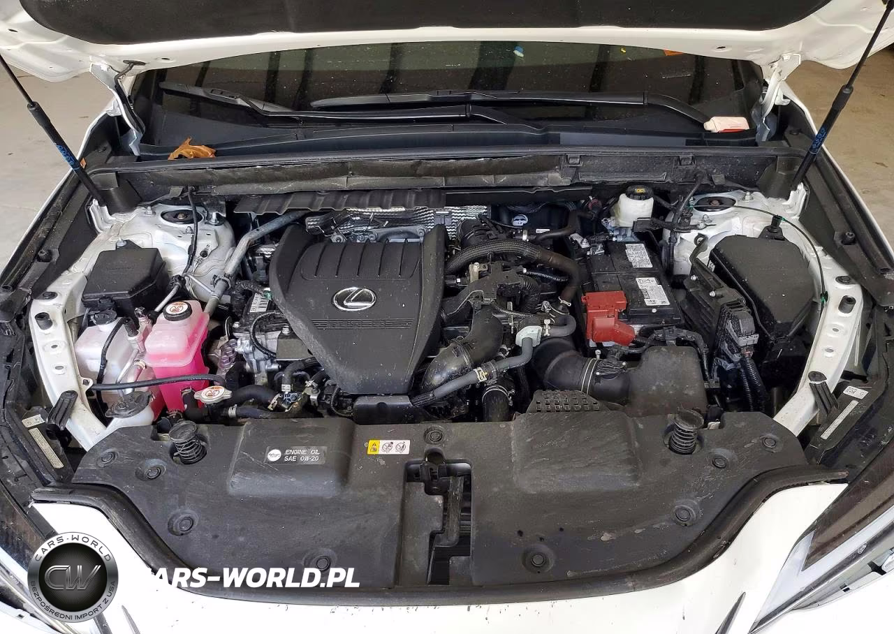 2025 Lexus Nx 350 Base VIN:2T2AGCEZ3SC088085 - 12