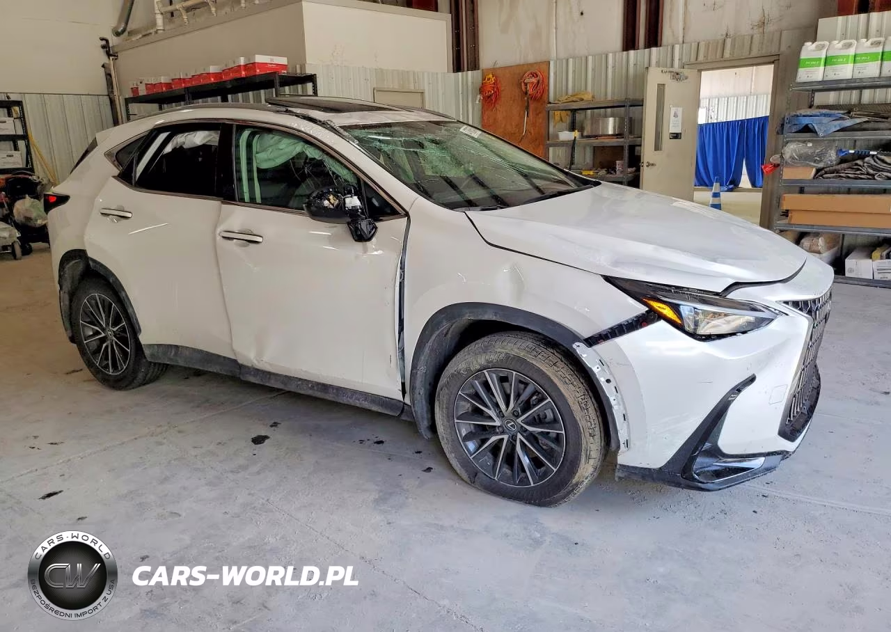 2025 Lexus Nx 350 Base VIN:2T2AGCEZ3SC088085 - 4