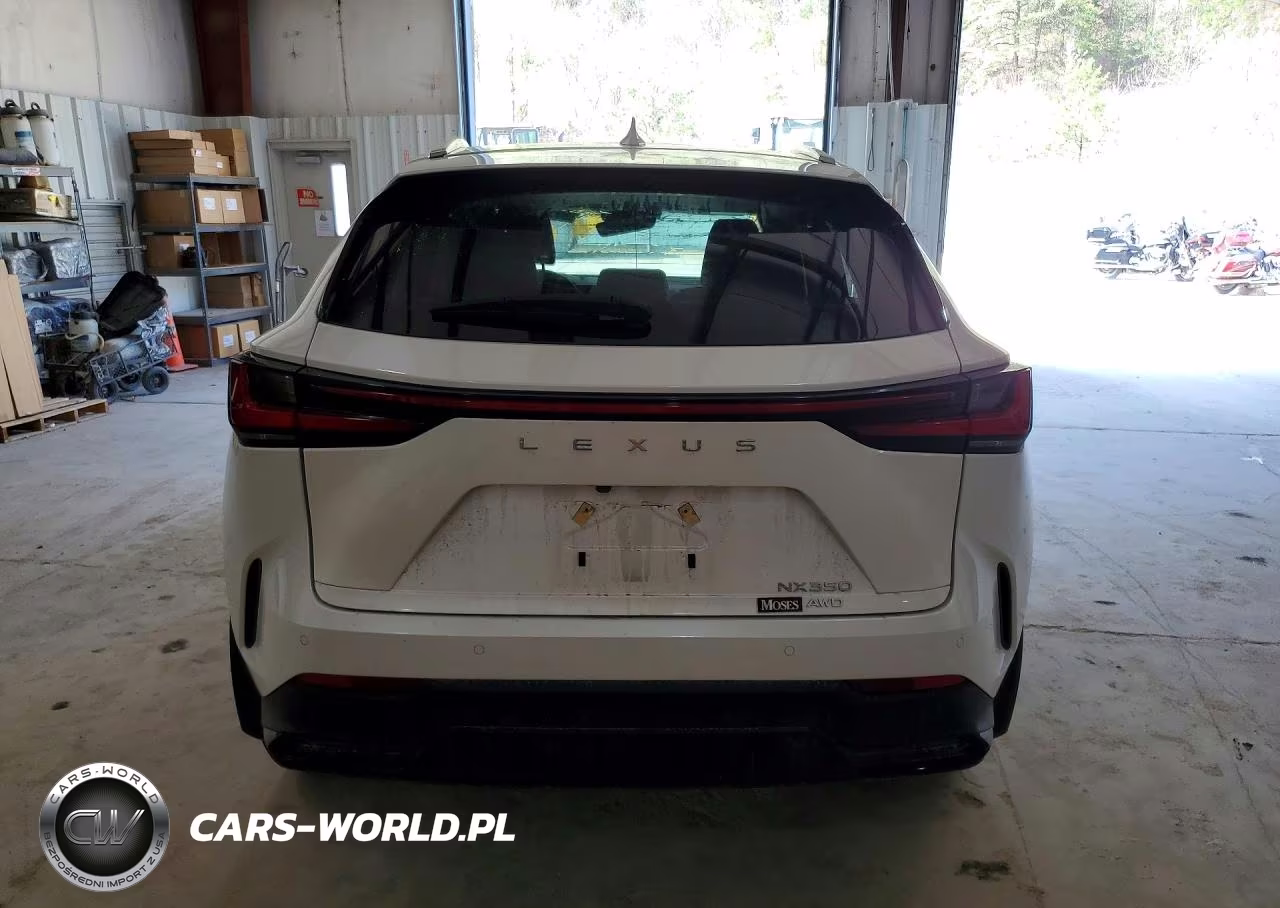 2025 Lexus Nx 350 Base VIN:2T2AGCEZ3SC088085 - 6