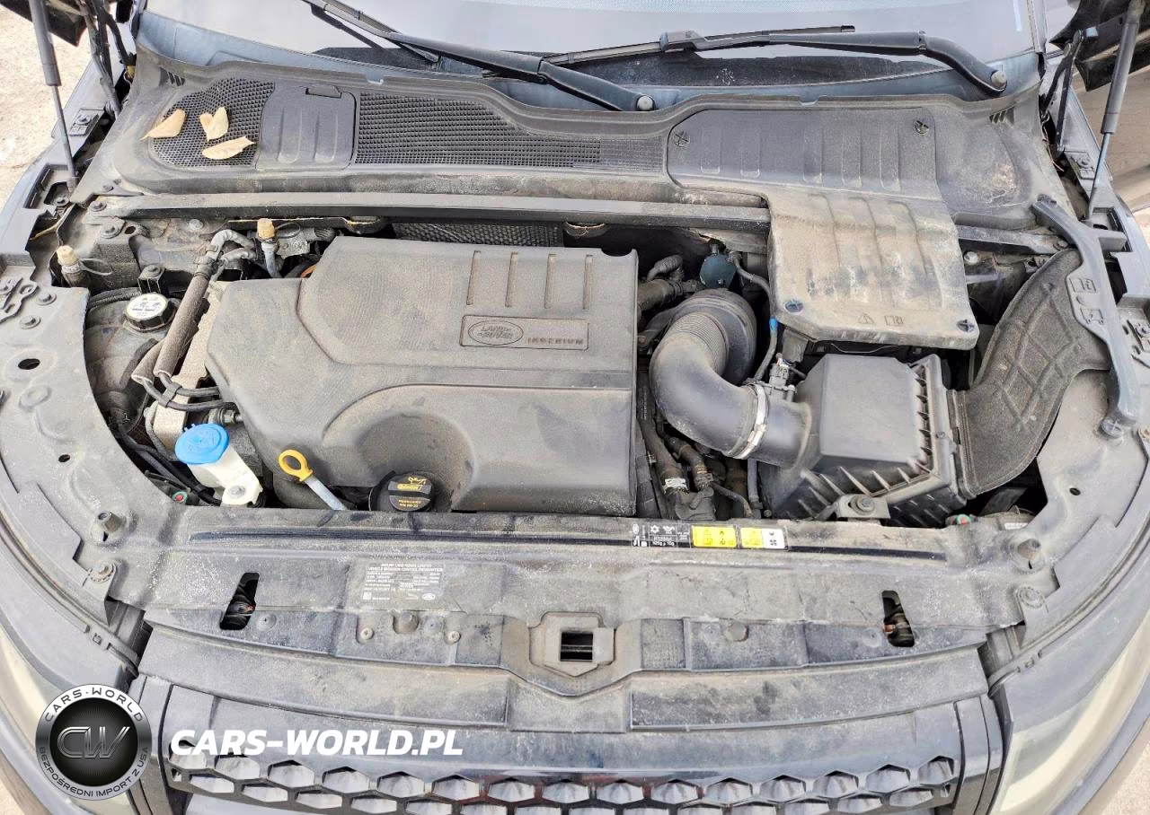2019 Land Rover Range Rover Evoque Se VIN:SALVP2RX8KH330124 - 12