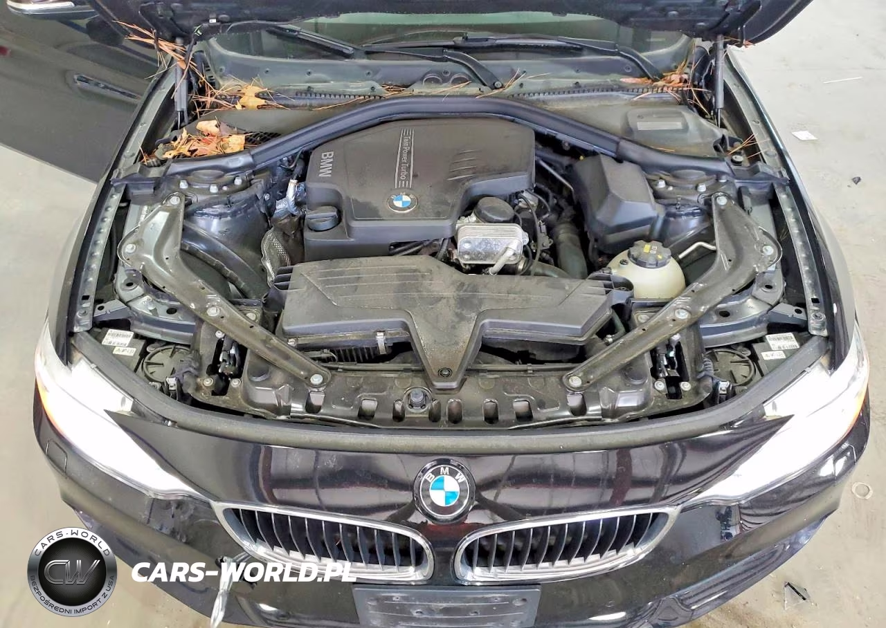 2015 BMW 428 Xi Sulev VIN:WBA3T1C50FP821193 - 11