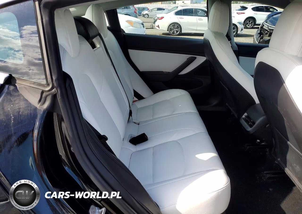 2020 Tesla Model 3 VIN:5YJ3E1EB1LF806658 - 10