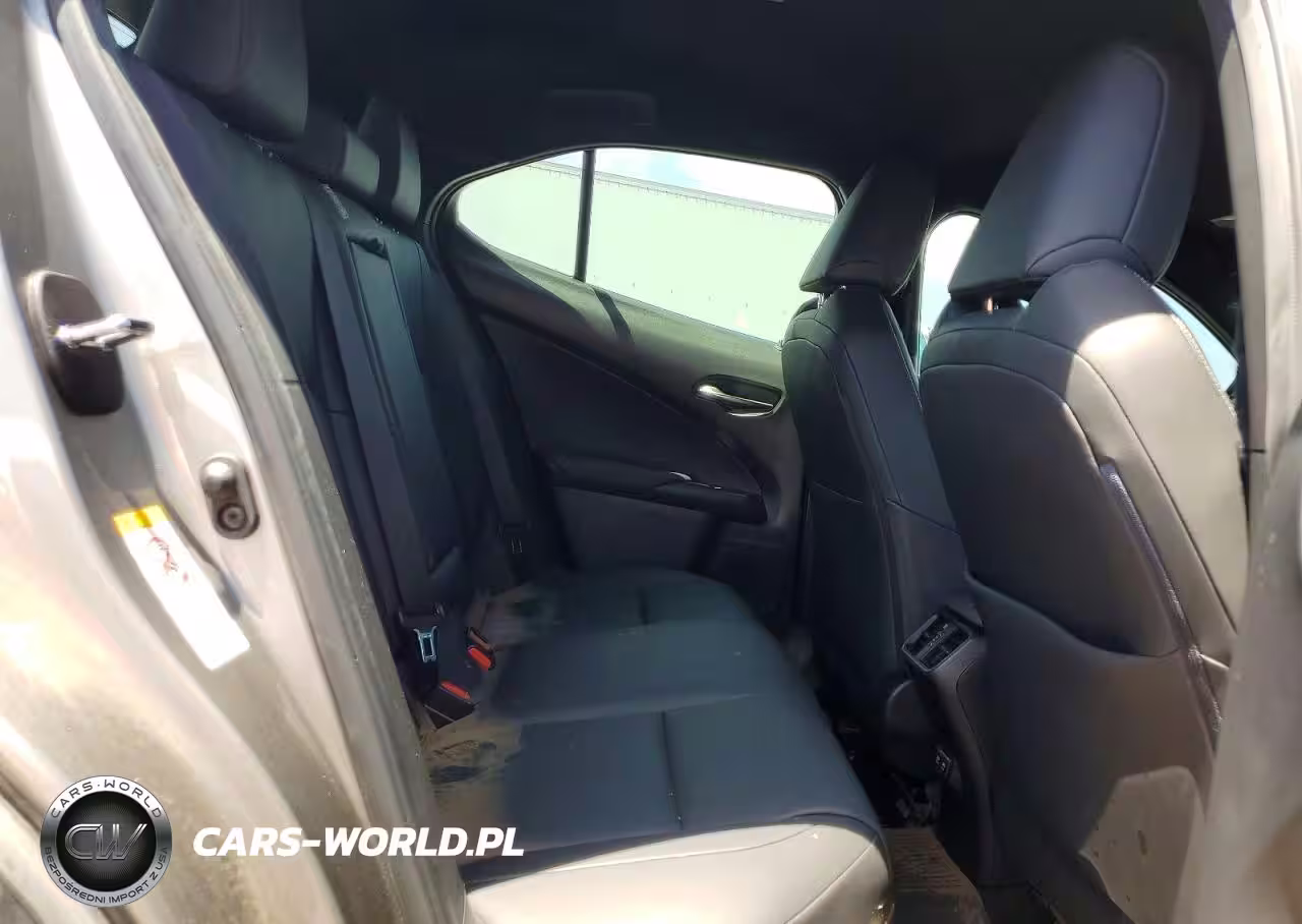 2019 Lexus Ux 200 Base VIN:JTHY3JBH0K2011525 - 10