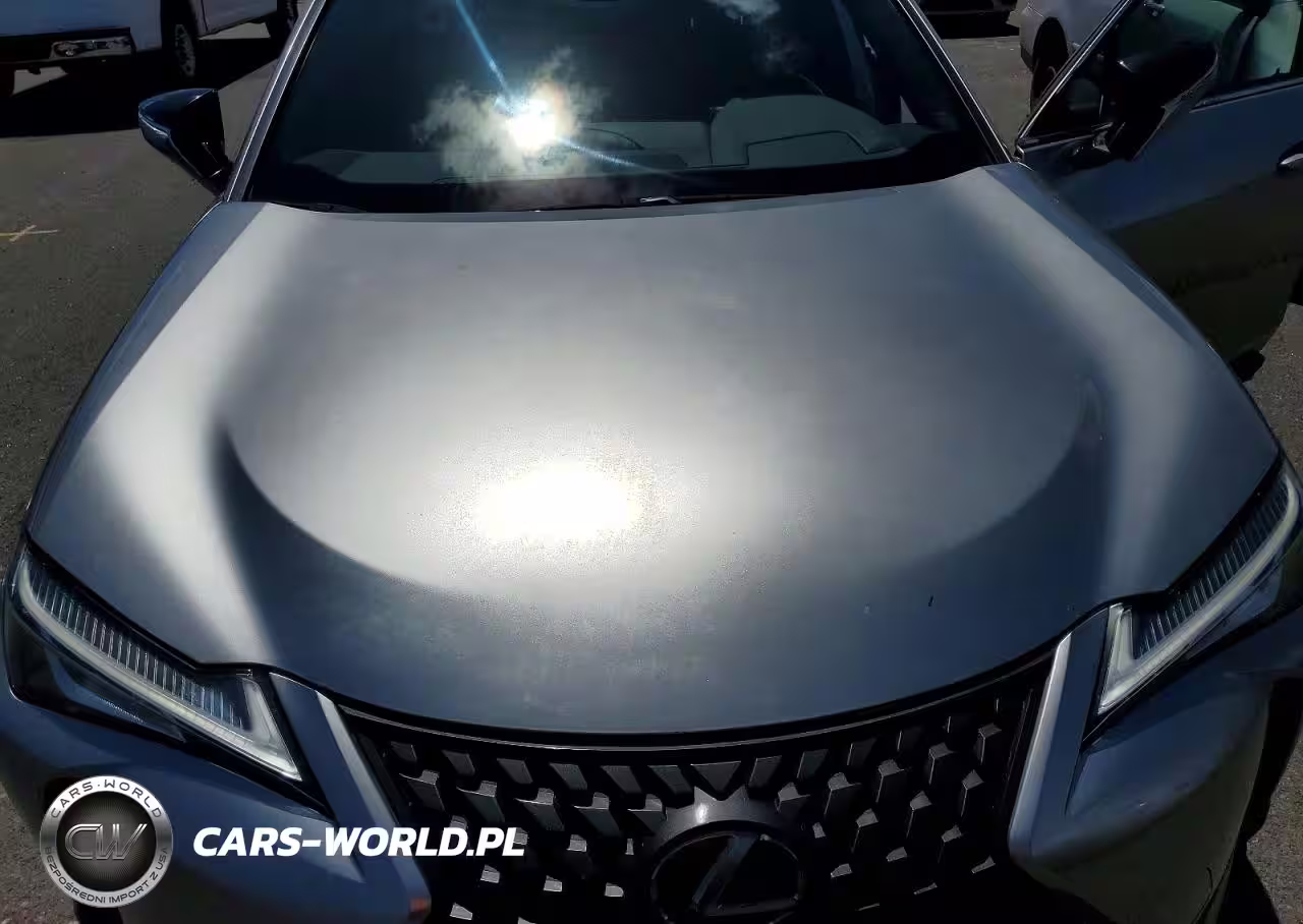 2019 Lexus Ux 200 Base VIN:JTHY3JBH0K2011525 - 11