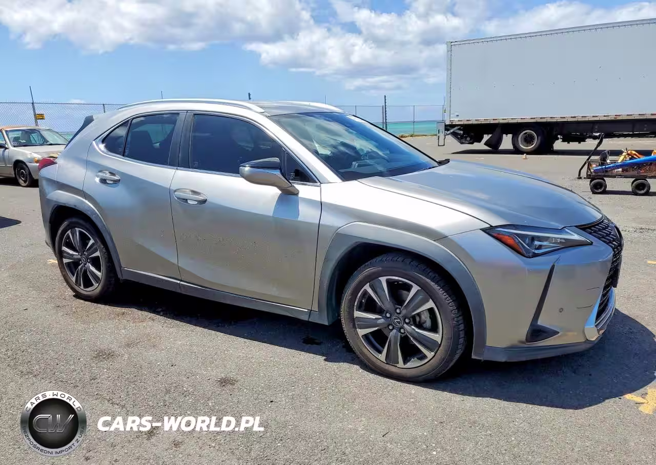 2019 Lexus Ux 200 Base VIN:JTHY3JBH0K2011525 - 4