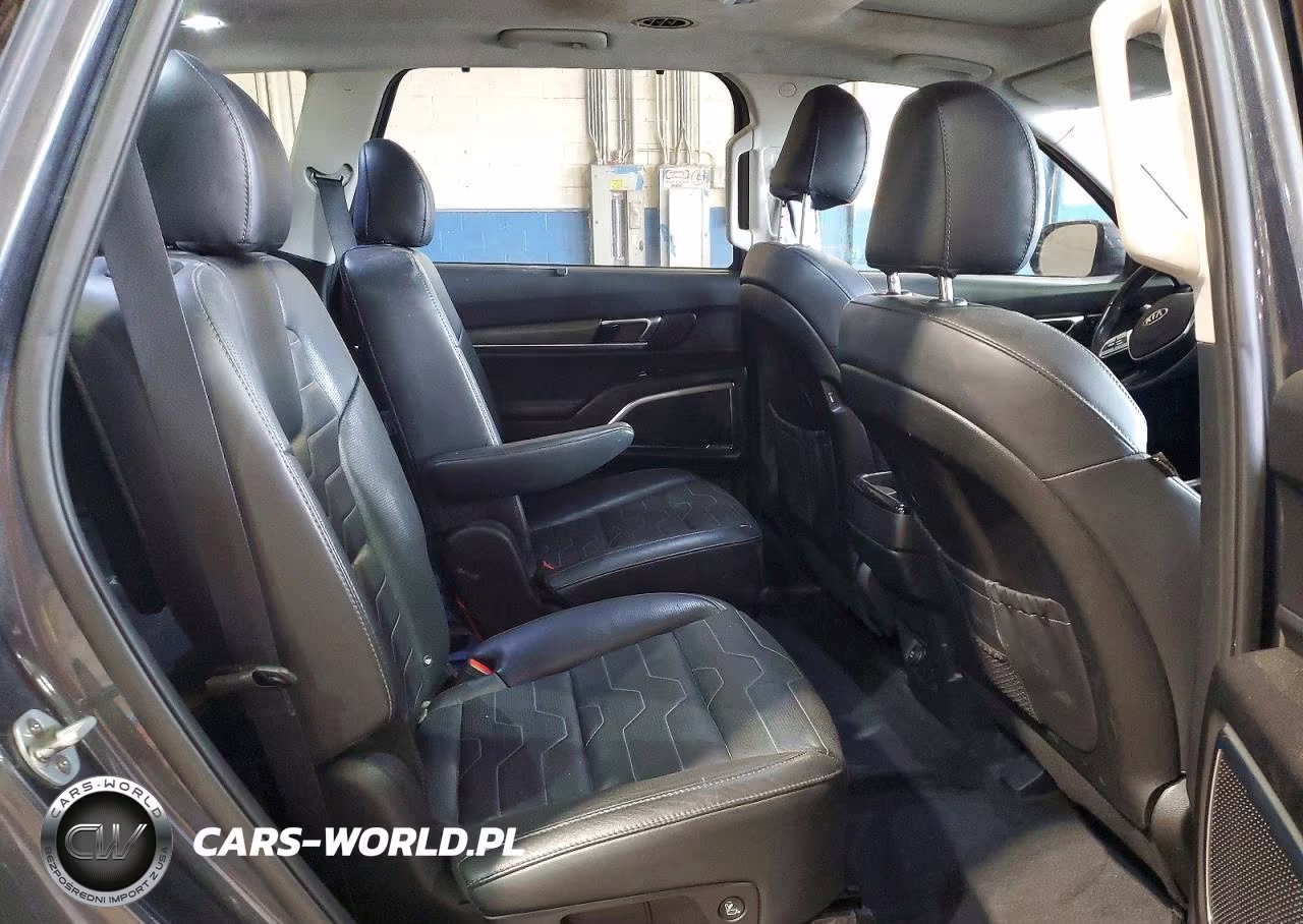 2020 Kia Telluride Sx VIN:5XYP5DHCXLG076555 - 11