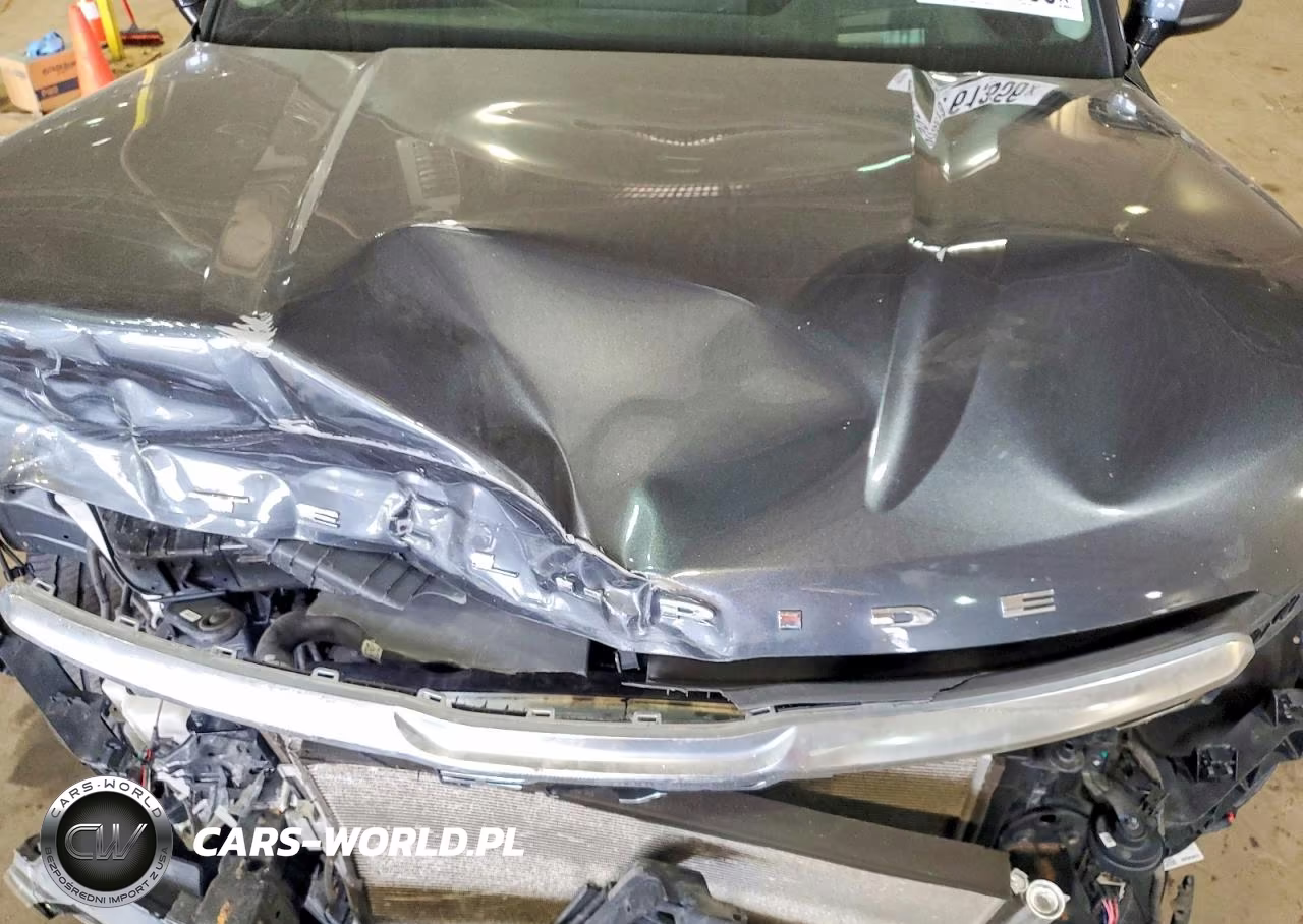2020 Kia Telluride Sx VIN:5XYP5DHCXLG076555 - 12