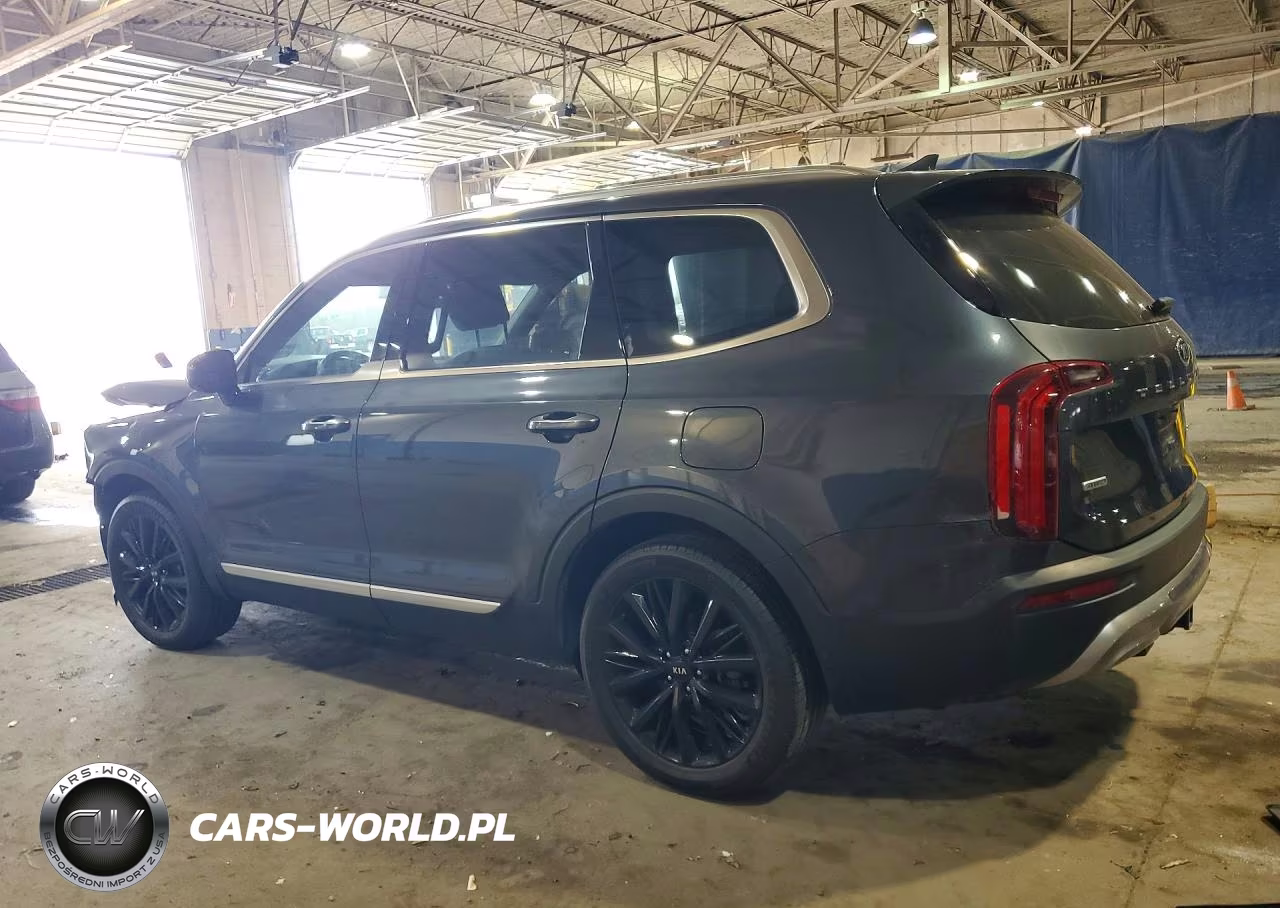2020 Kia Telluride Sx VIN:5XYP5DHCXLG076555 - 2