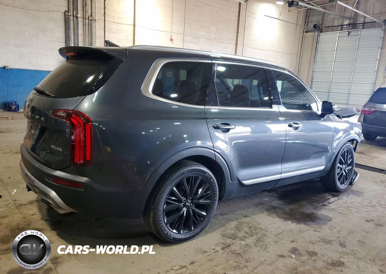 2020 Kia Telluride Sx VIN:5XYP5DHCXLG076555 - 3