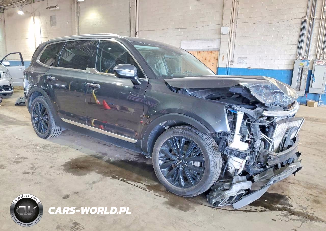 2020 Kia Telluride Sx VIN:5XYP5DHCXLG076555 - 4