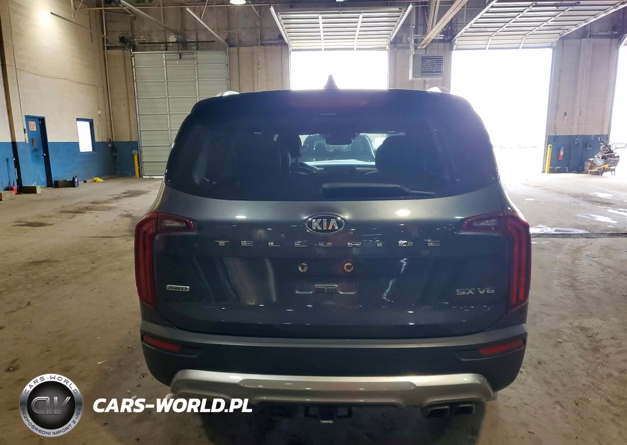 2020 Kia Telluride Sx VIN:5XYP5DHCXLG076555 - 6