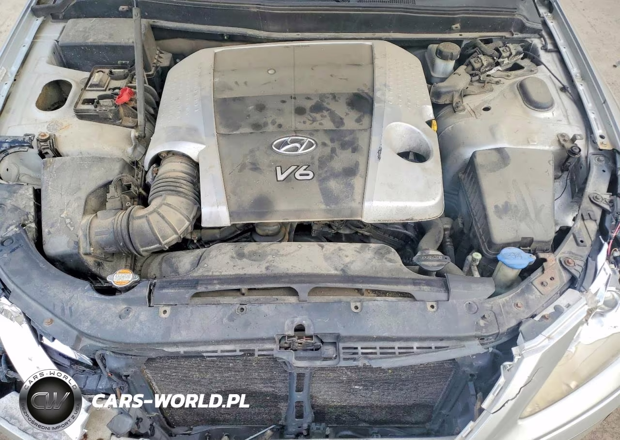 2010 Hyundai Genesis 3.8L V6 VIN:KMHGC4DE4AU093811 - 11