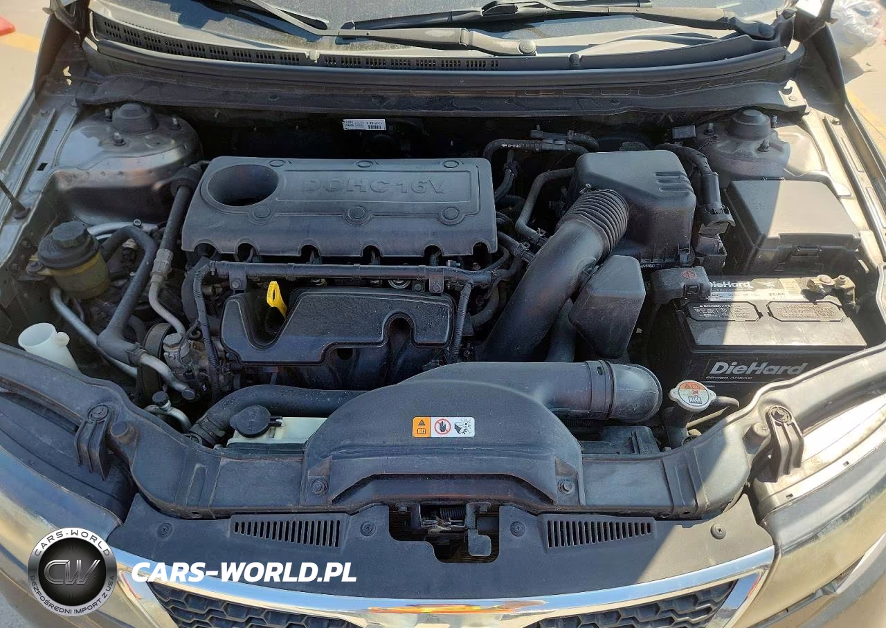 2013 Kia Forte VIN:KNAFU5A23D5656016 - 11